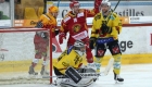 tigers_scb_150116_3