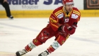 tigers_zug_160216_1
