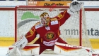 tigers_zug_160216_8