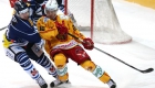 ambri_tigers_120316_2