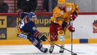biel_tigers_190316_8