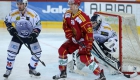 tigers_ambri_080316_1