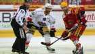 tigers_biel_220316_1