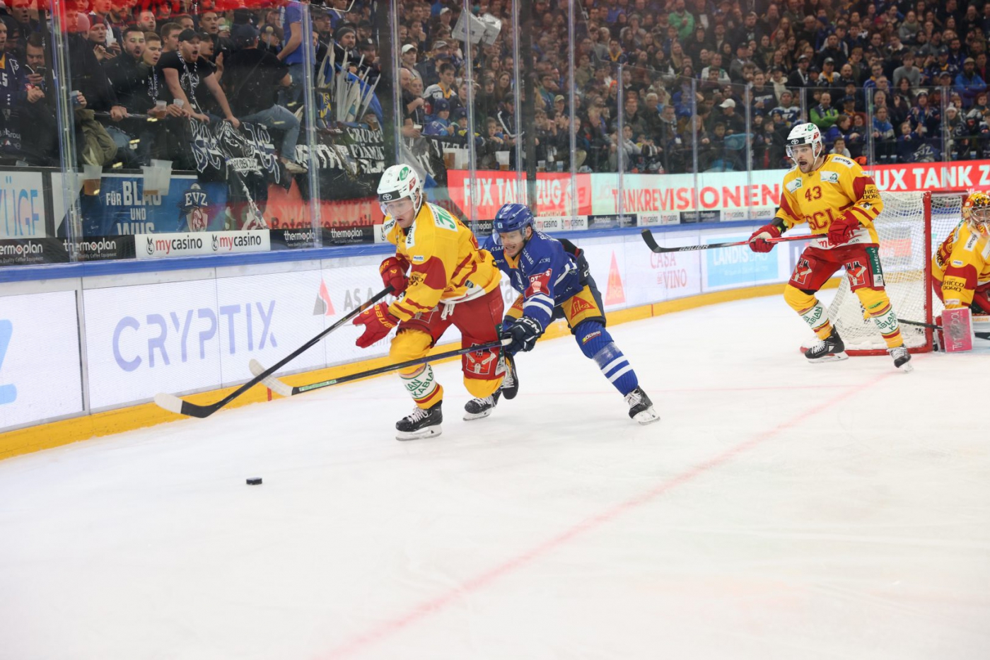 National League 23/24: EV Zug - SCL Tigers - 17-11-2023