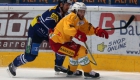 ambri-tigers 24-09-16_03